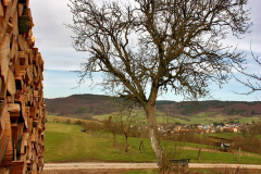 Dorfansichten_1318