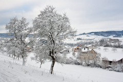 Dorfansichten_4264